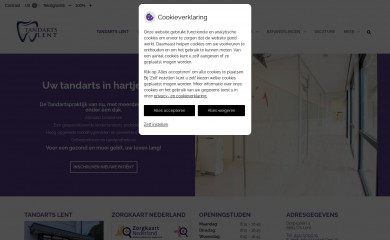 tandartslent.nl screenshot