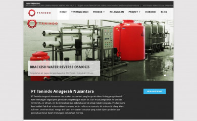 tanindo.net screenshot