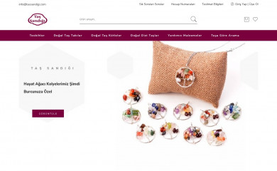 http://tassandigi.com screenshot