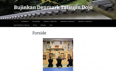 tatsujin.dk screenshot