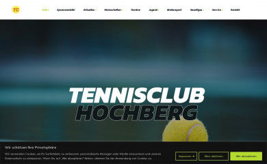 tc-hochberg.com screenshot