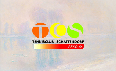 tc-schattendorf.at screenshot