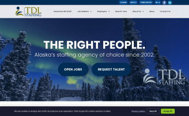 tdlstaffing.com screenshot