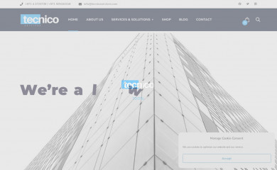 tecnicoservices.com screenshot