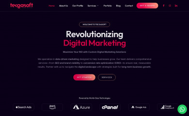 tecgasoft.com screenshot