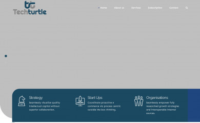 techturtleconsultant.com screenshot