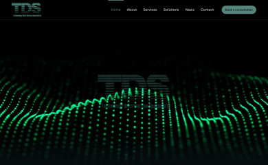 techno-ds.com screenshot