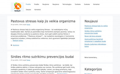 techp.lt screenshot