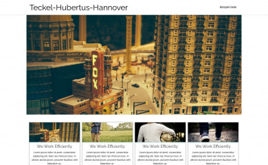 teckel-hubertus-hannover.de screenshot