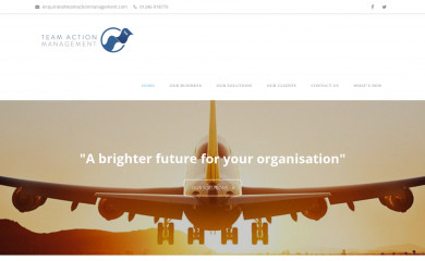 teamactionmanagement.com screenshot