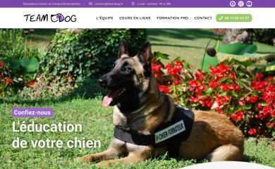 teamdog.fr screenshot