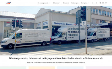 teenservices.ch screenshot