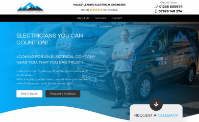 teelectrical.com screenshot