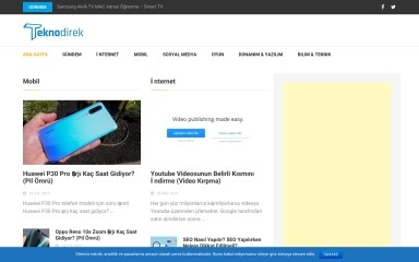 teknodirek.com screenshot