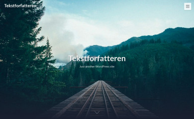 tekstforfatteren.dk screenshot