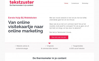 tekstzuster.nl screenshot