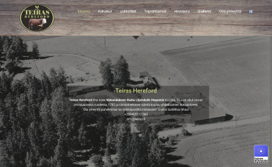 teiras.fi screenshot