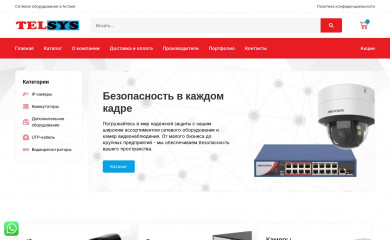 telsys.kz screenshot