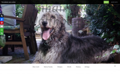 temhair.com screenshot