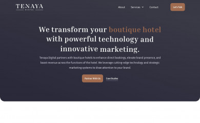 tenayaco.com screenshot