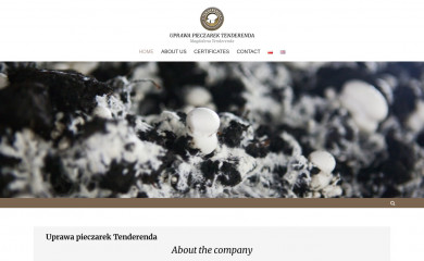 tenderenda.pl screenshot
