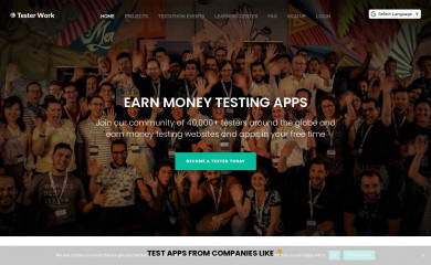 testerwork.com screenshot