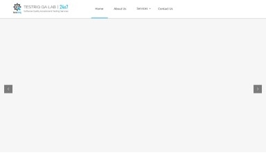 testing24x7.com screenshot