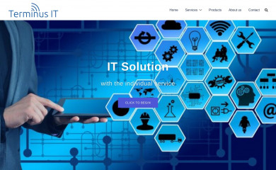 terminusit.com screenshot