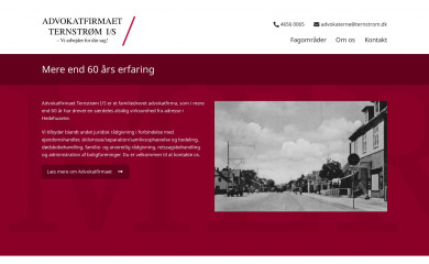 ternstrom.dk screenshot