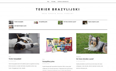 terierbrazylijski.pl screenshot