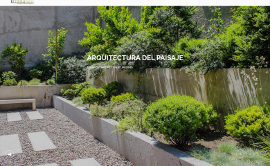 terraneo.cl screenshot