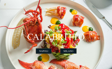 terrazzacalabritto.it screenshot