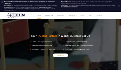 tetraconsultants.com screenshot