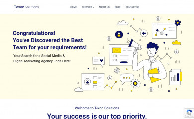 texonsolutions.com screenshot