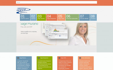 teycoinformatica.com screenshot