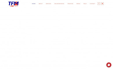 tfmex.com screenshot