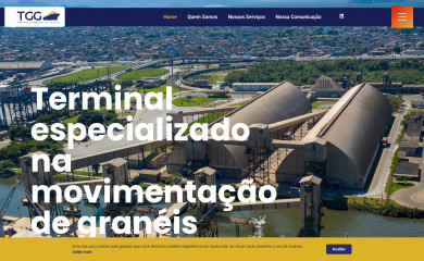tgg.com.br screenshot