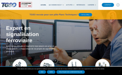tgso-sig.com screenshot