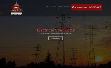 tgselectrical.ca screenshot