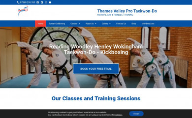 thamesvalleytaekwondo.com screenshot