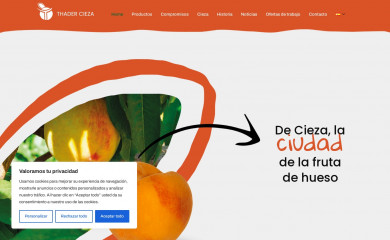 thadercieza.com screenshot