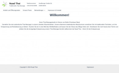 thai-massage58.de screenshot