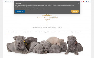 thairidgeback.it screenshot