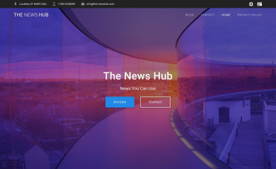 the-newshub.com screenshot