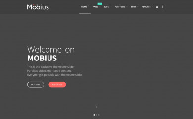 Mobius WordPress Theme - ThemeDetect.com
