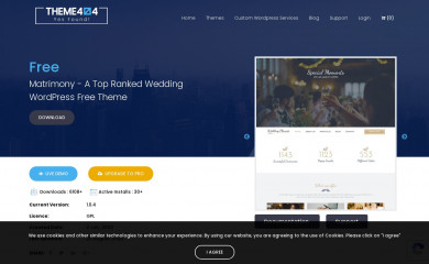 https://theme404.com/downloads/matrimony/ screenshot