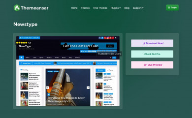 https://themeansar.com/free-themes/newstype/ screenshot