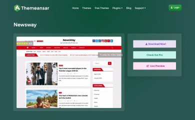 https://themeansar.com/free-themes/newsway/ screenshot
