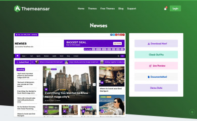 https://themeansar.com/free-themes/newses/ screenshot
