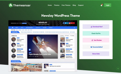 https://themeansar.com/free-themes/newslay/ screenshot